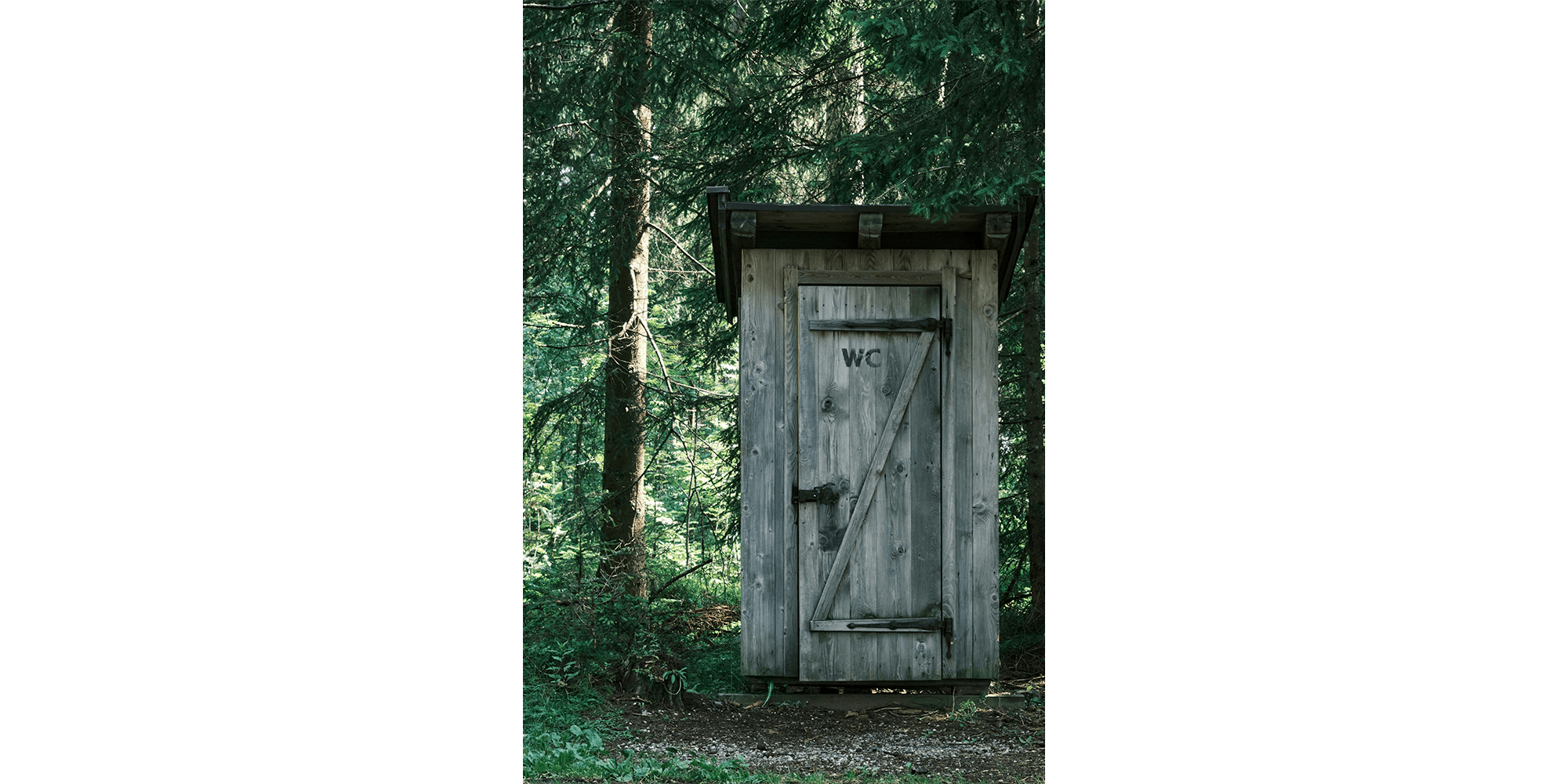 Cover Image for What is the Best Cottage Toilet? 8 Exceptional Options!
