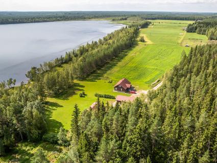 Panoramic view of Kaisla, showing the proximity to Lestijärvi and the lush surrounding forest.