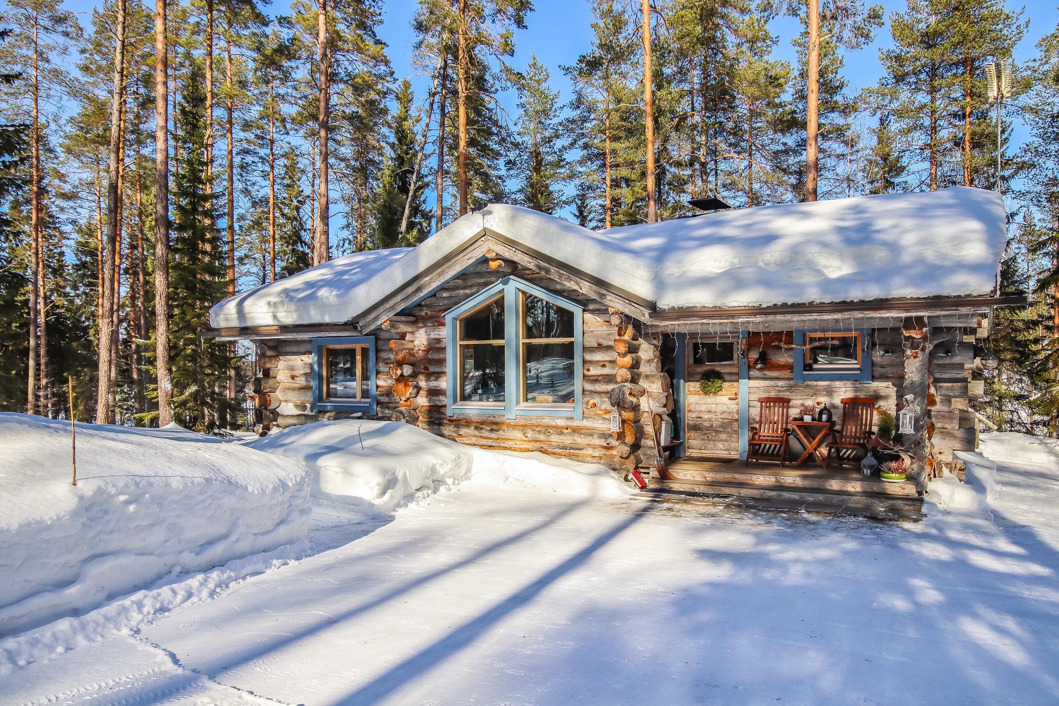 Panoramic view of the serene setting surrounding the Hopea Ketsu cabin.