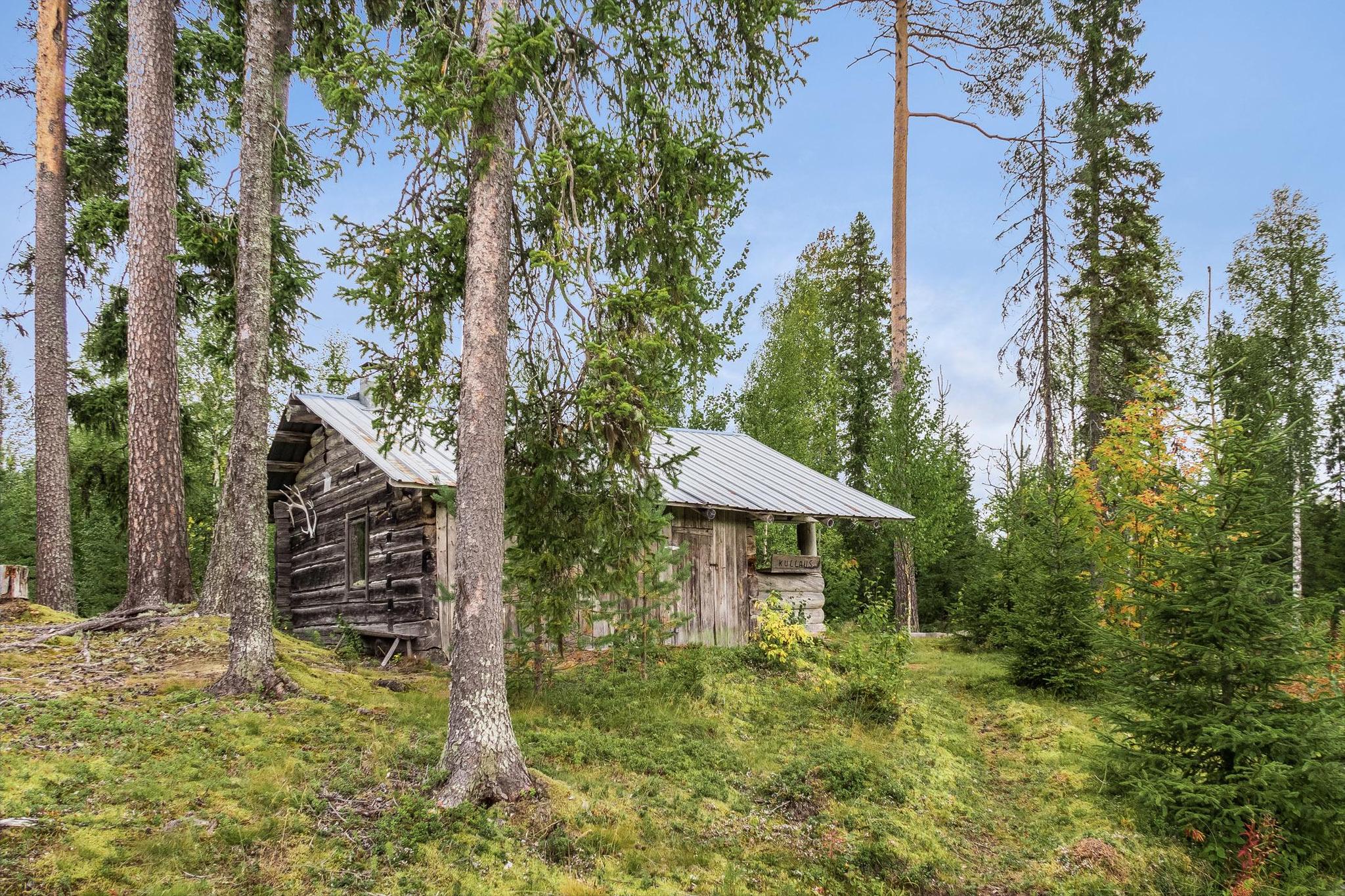 Scenic surrounding area of Kullaus cabin with natural forest and river.