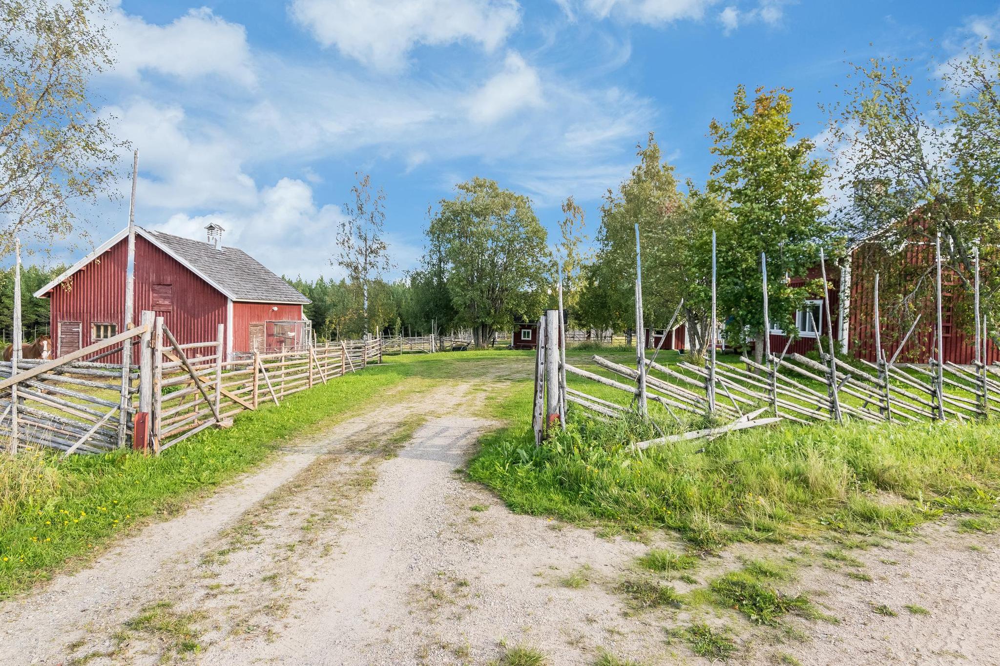 Scenic countryside around Tervamäki, showcasing lush green fields and forests.