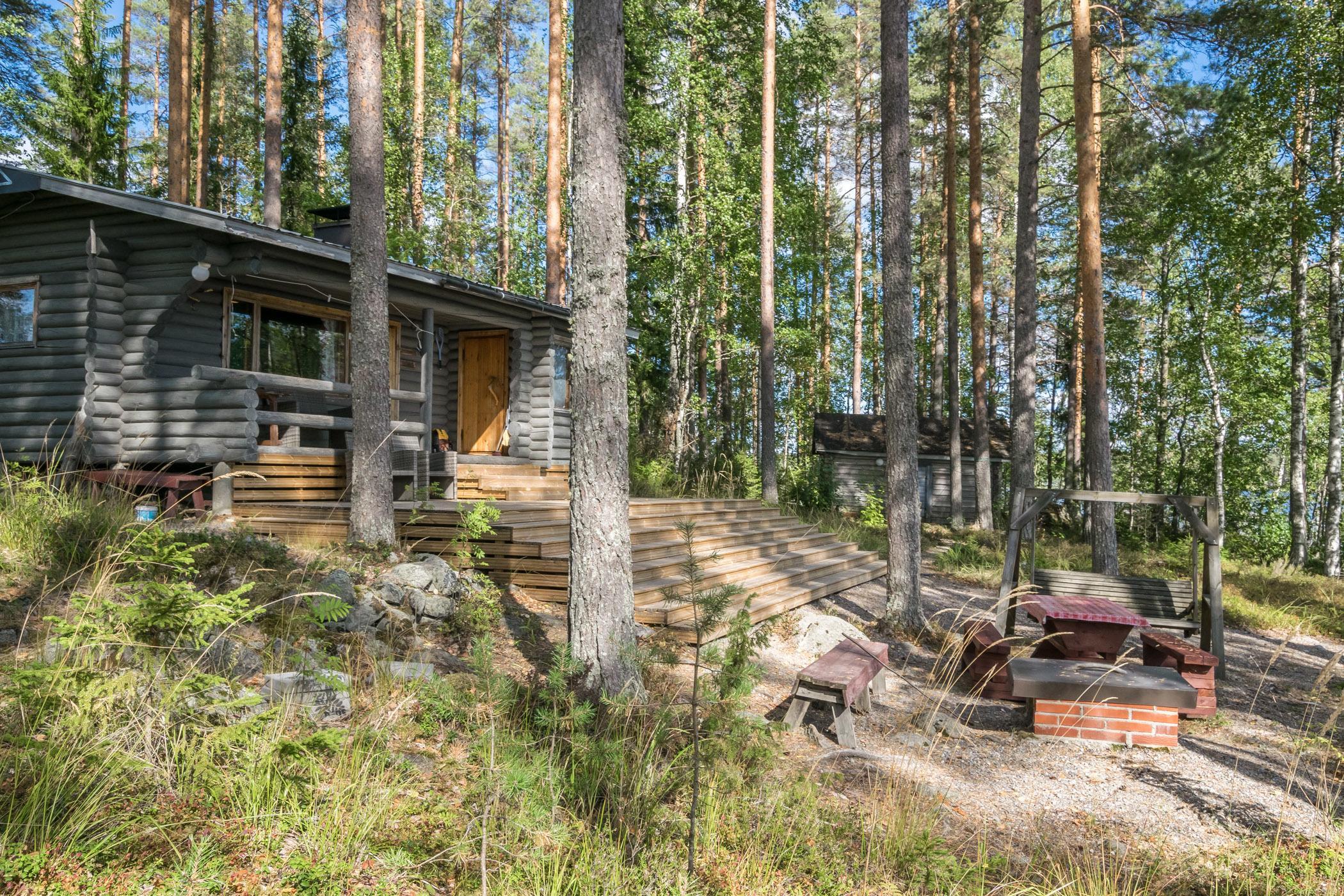 Panoramic view of the serene forest landscape around Piilopirtti.